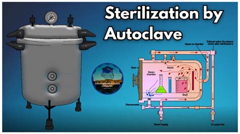 large autoclave diagram|autoclave laboratory drawing.